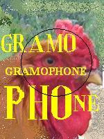 gramophone